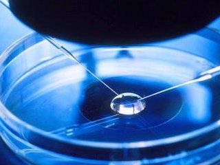 冻囊胚解冻后可以做三代基因筛查？