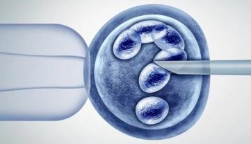 第三代试管婴儿流程是怎样的？一文教你看懂三代试管婴儿流程