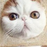 成功率和费用对比：国内和台湾试管婴儿你选谁？