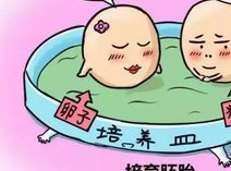 厦门人工试管成功率高吗 厦门174医院做试管技术怎么样