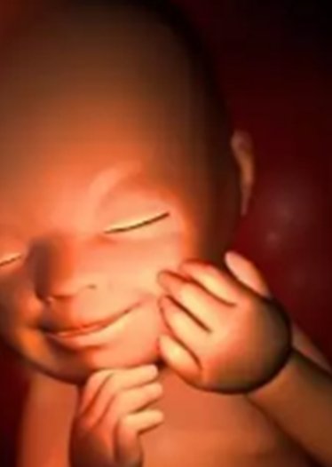 试管婴儿怎么做的全过程？让试管婴儿成功率更高的方式有哪些？